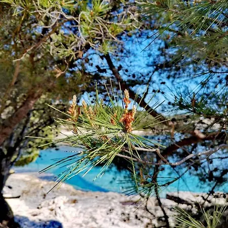 Apartman Andreas - Amphitheater With Free Parking- *