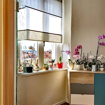 Andreas - Amphitheater With Free Parking- Apartman Pula