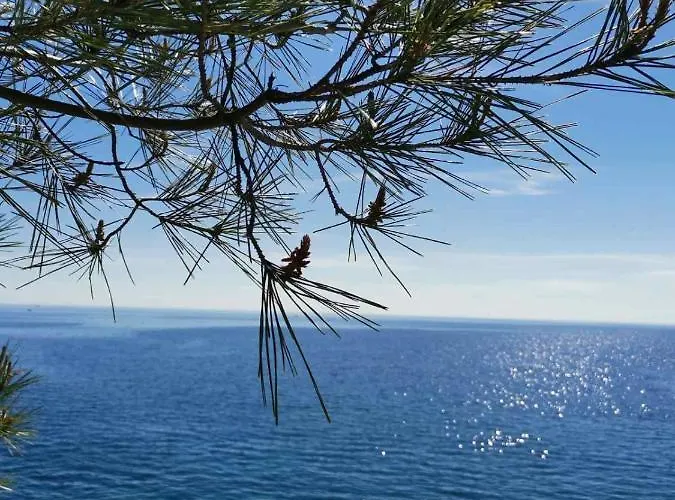 Andreas - Amphitheater With Free Parking- * פולה
