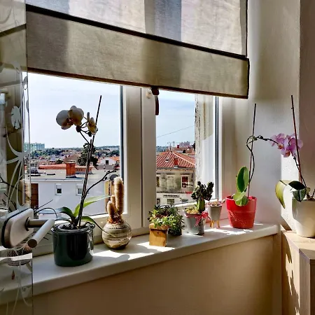 Andreas - Amphitheater With Free Parking- 普拉