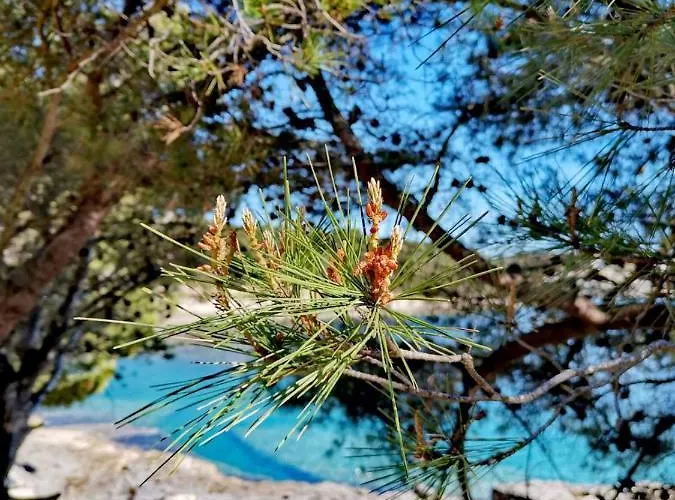 Διαμέρισμα Andreas - Amphitheater With Free Parking- *