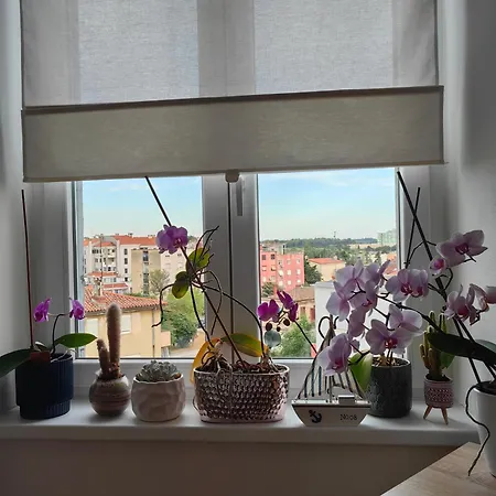 Andreas - Amphitheater With Free Parking- Apartmán *