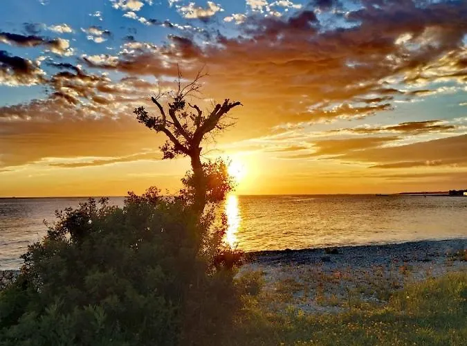 Andreas - Amphitheater With Free Parking- Apartmán Pula