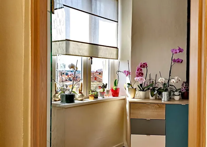 Andreas - Amphitheater With Free Parking- Apartmán Pula